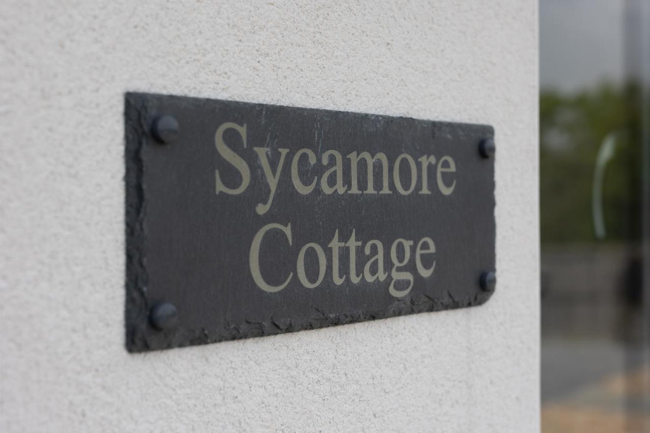 Sycamore Cottage Tenby Luaran gambar